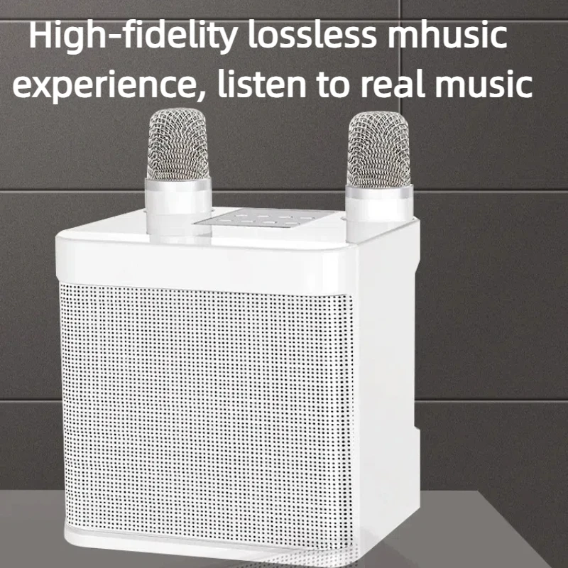 

High Quality and Powerful 10W Wireless Subwoofer Portable Bluetooth Speaker Outdoor Home Party Karaoke Boom Box with Microphones