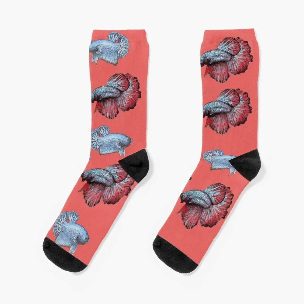 

Betta fish sock! Socks floral cotton Socks For Women Men's