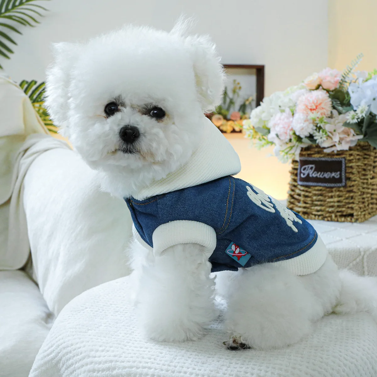 1PC Pet Clothing Spring and Autumn Velvet Handsome Champion Cowboy Hat Coat Suitable for Small and Medium sized Dogs