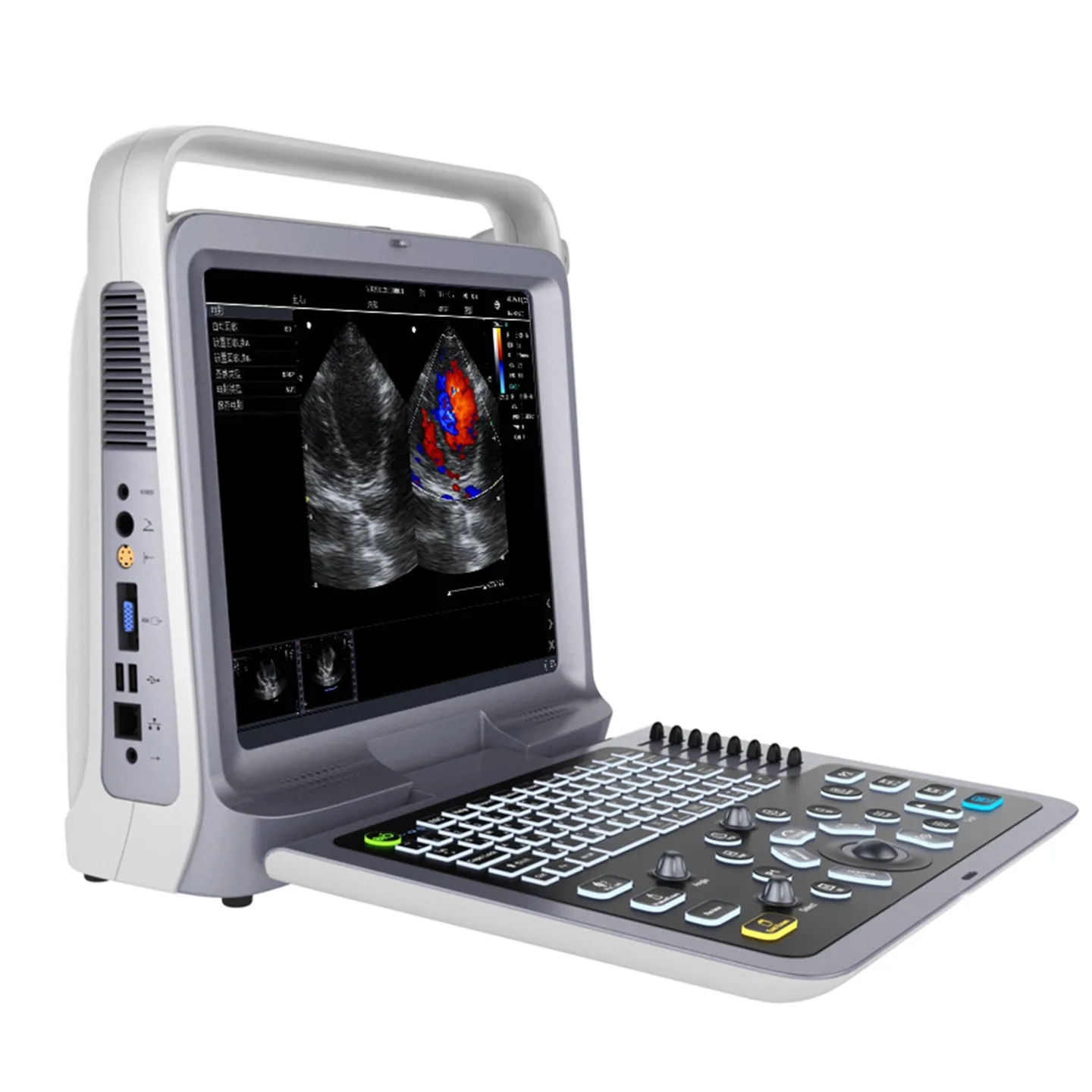 Pet Portable Color Doppler Cardiac Color Doppler Routine Examination Double Head Portable Desktop Ultrasound Instrument