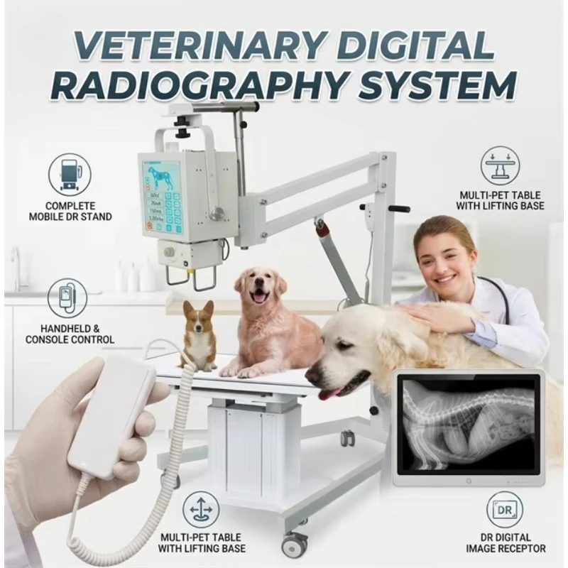 Competitively priced wired portable 5.6KW veterinary X-ray machine, lightweight design, suitable for mobile veterinary services