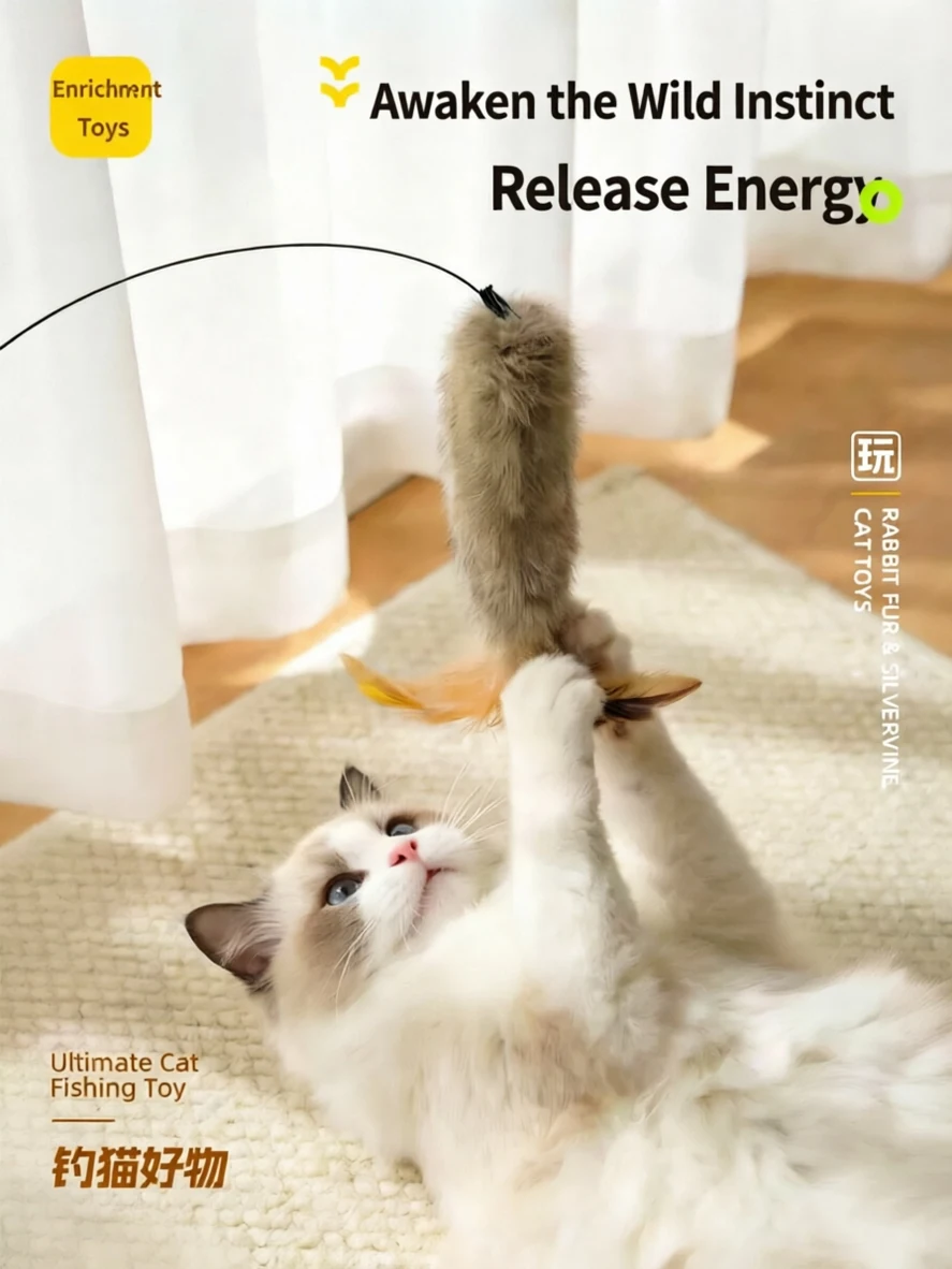 Cat Fengrong Toys Insect Galls Fruit Feathers Grinding Teeth Gnawing and Biting Self Pleasure Relieving Boredom Teasing Cat Toys