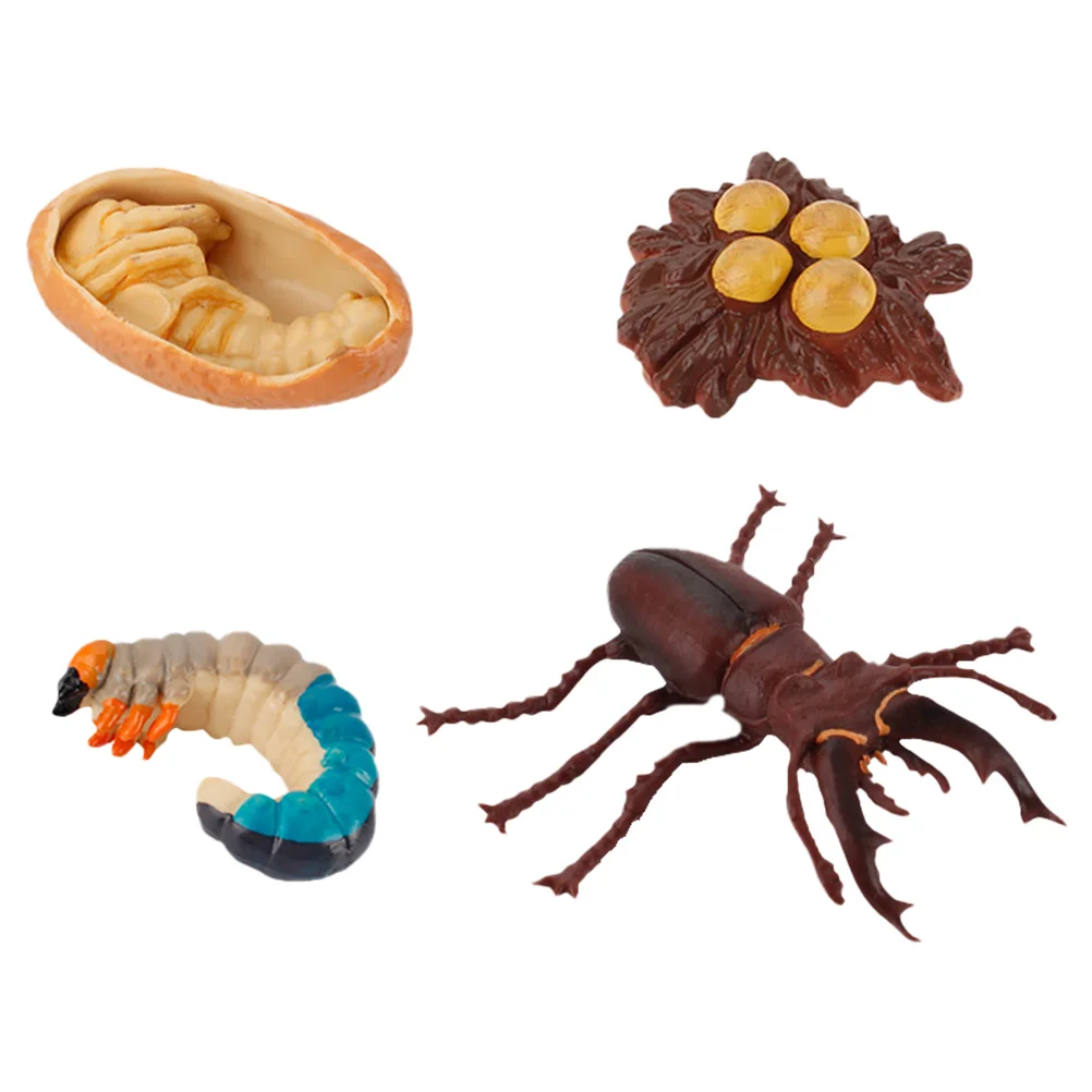 

4 Pcs Educational Science Toy Growth Cycle Toys Childrens Animal Model Artificial Simulation Insect