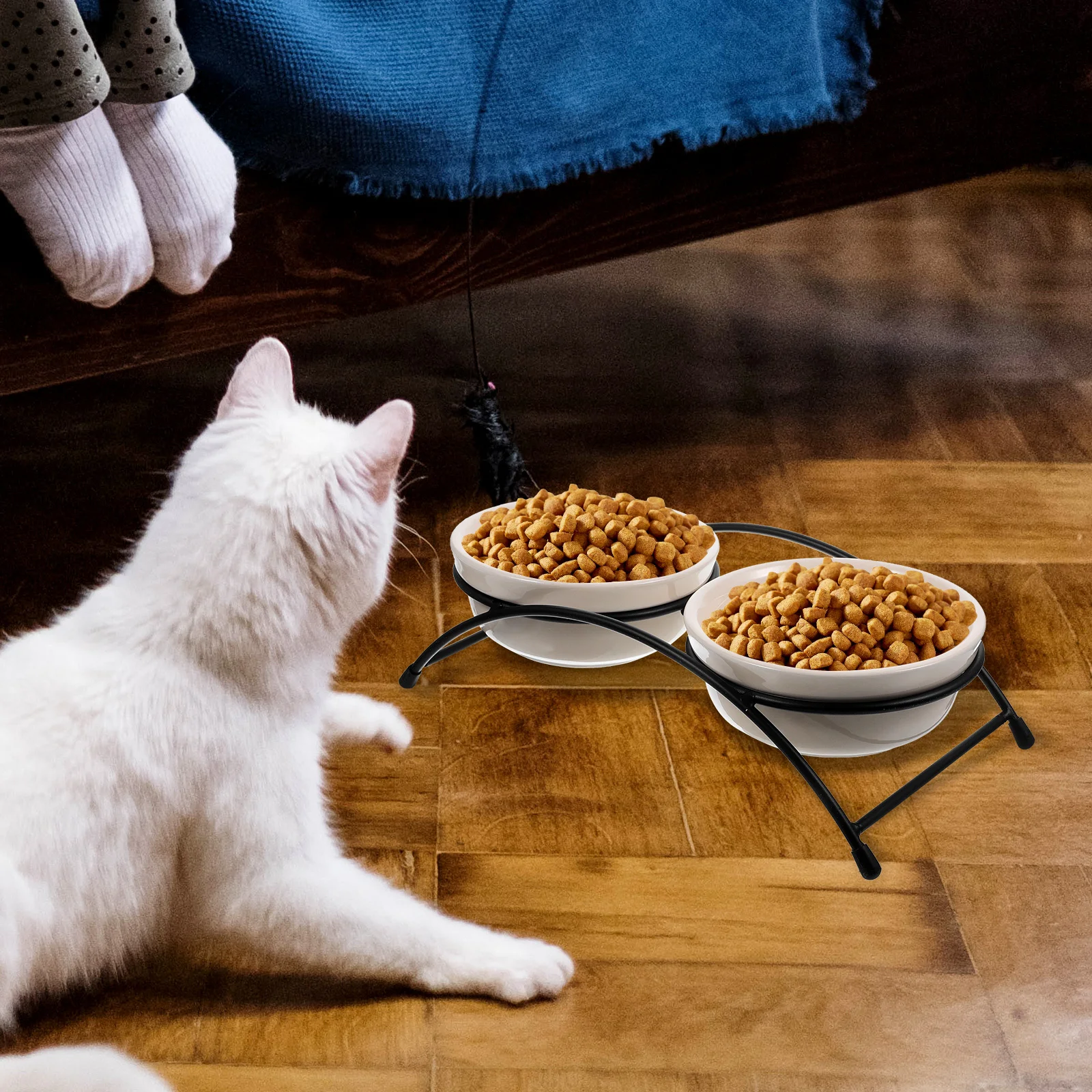 

Ceramic Pet Bowl Non-Slip Base Dog Cat Food Water Container Rust Resistant Odor Free Feeding Bowl For Kittens Puppies Cat