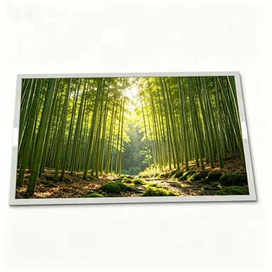 

TX23D38VM0CAA 9.0 inch 800*480 Resolution LCD panel fast shipping