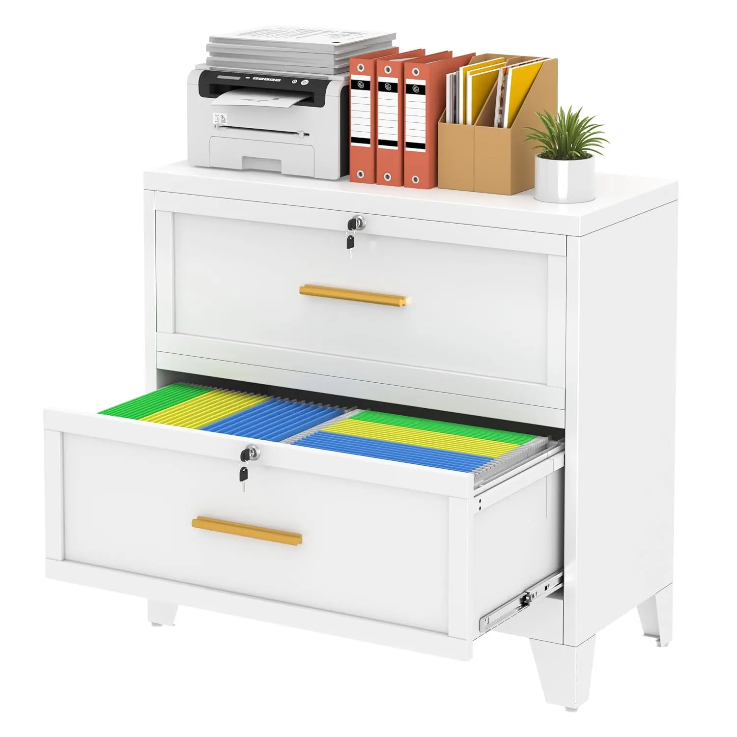 2 Drawer Metal Lateral File Cabinet with Lock, Steel Storage for Home Office Hanging Files Letter Legal F4 A4, Customized