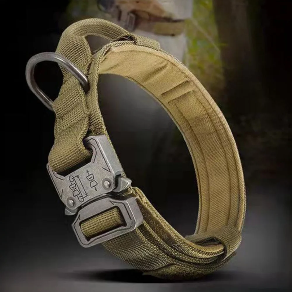 #6 Top 20 Dog Collars Worth Buying In 2026