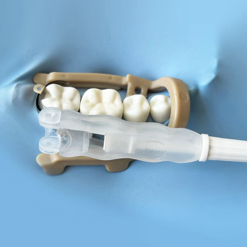 Vorgeformte Zahnmatrizenbänder, Sektionale Konturierte Rollmatrizenbänder, Retainer für Gingivalmarge, Zahnrestaurationen – Detail 4