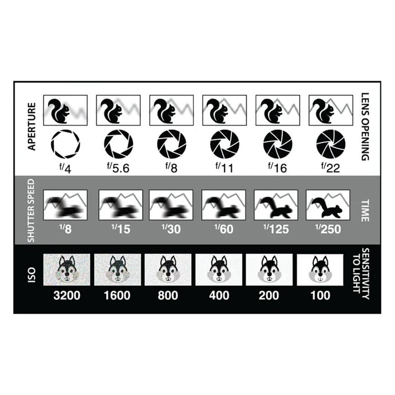 Golden Triangle Composition Tool Viewfinder/Viewer Photography/Painting/Drawing Credit Card Size Fits Wallet/Camera Bag