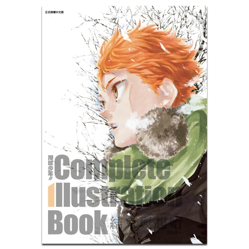 

Haikyuu Boys Complete Illustration Book End And Beginning Haruichi Furukan Dongli Publishing 9789572669099 Book