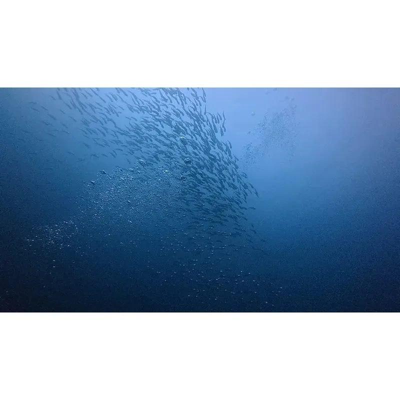 

Алюминиевые раллийные колеса для Tamiya TA02S Lancia TA02 TA07 TA02S TA02SW XV01 TT-02 Type-S HPI 4WD 1:10 RC дрифт-моделей автомобилей