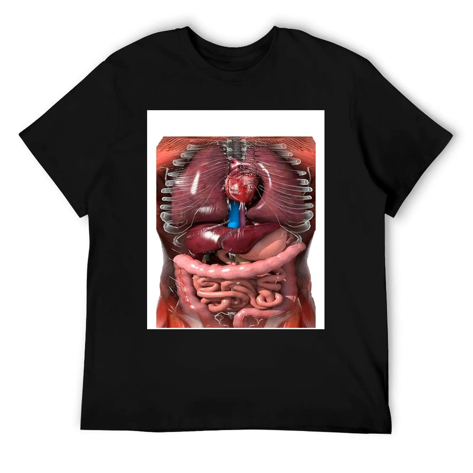 

Забавная футболка с внутренними органами человеческого тела в вашей анатомии Футболка Футболки Дизайнерская футболка Essential Футболка