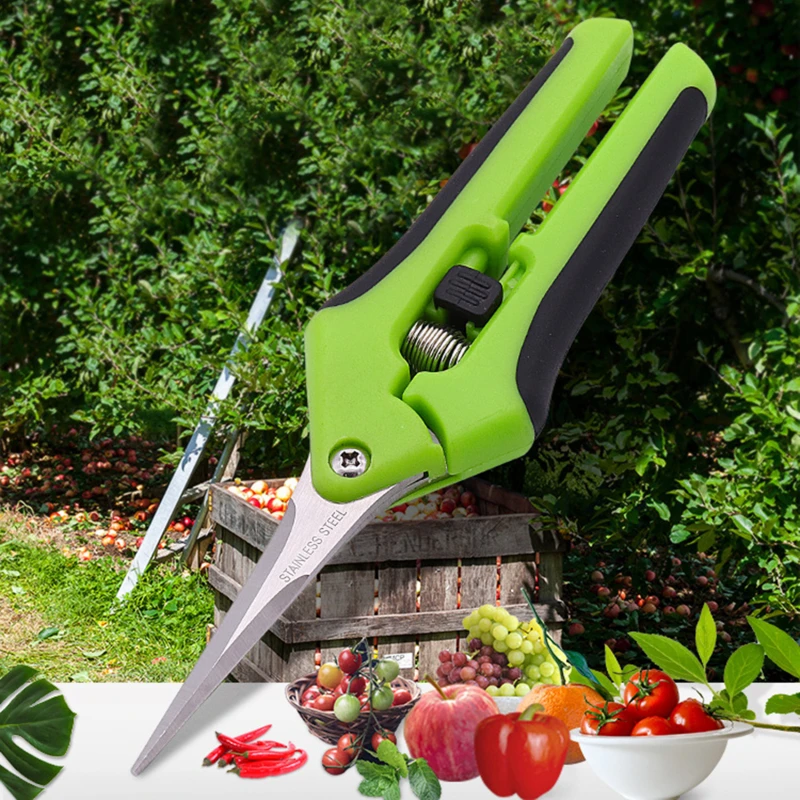 Shears Pruner Secateurs Pruning Scissors Bypass Sharpener Clippers Garden Tool Bonsai Flower Cultivating Solid Snip Floral Mini