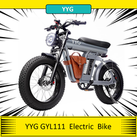 YYG GYL111 Electric Bike 1200W Motor 48V 20Ah Battery 65km Range 20*4.0'' Fat Wheel Front & Rear Hydraulic Brakes City Bicycle