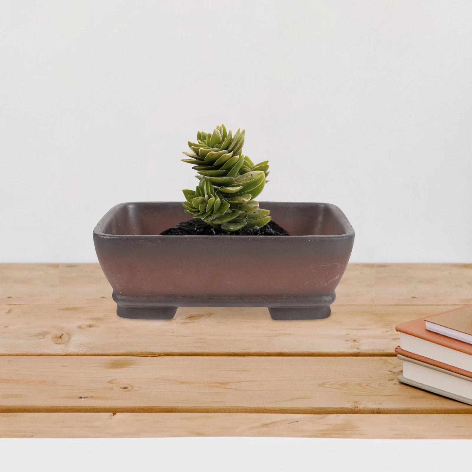 Pot bunga Bonsai besar, dengan nampan drainase penanam untuk tanaman ungu pasir anggrek