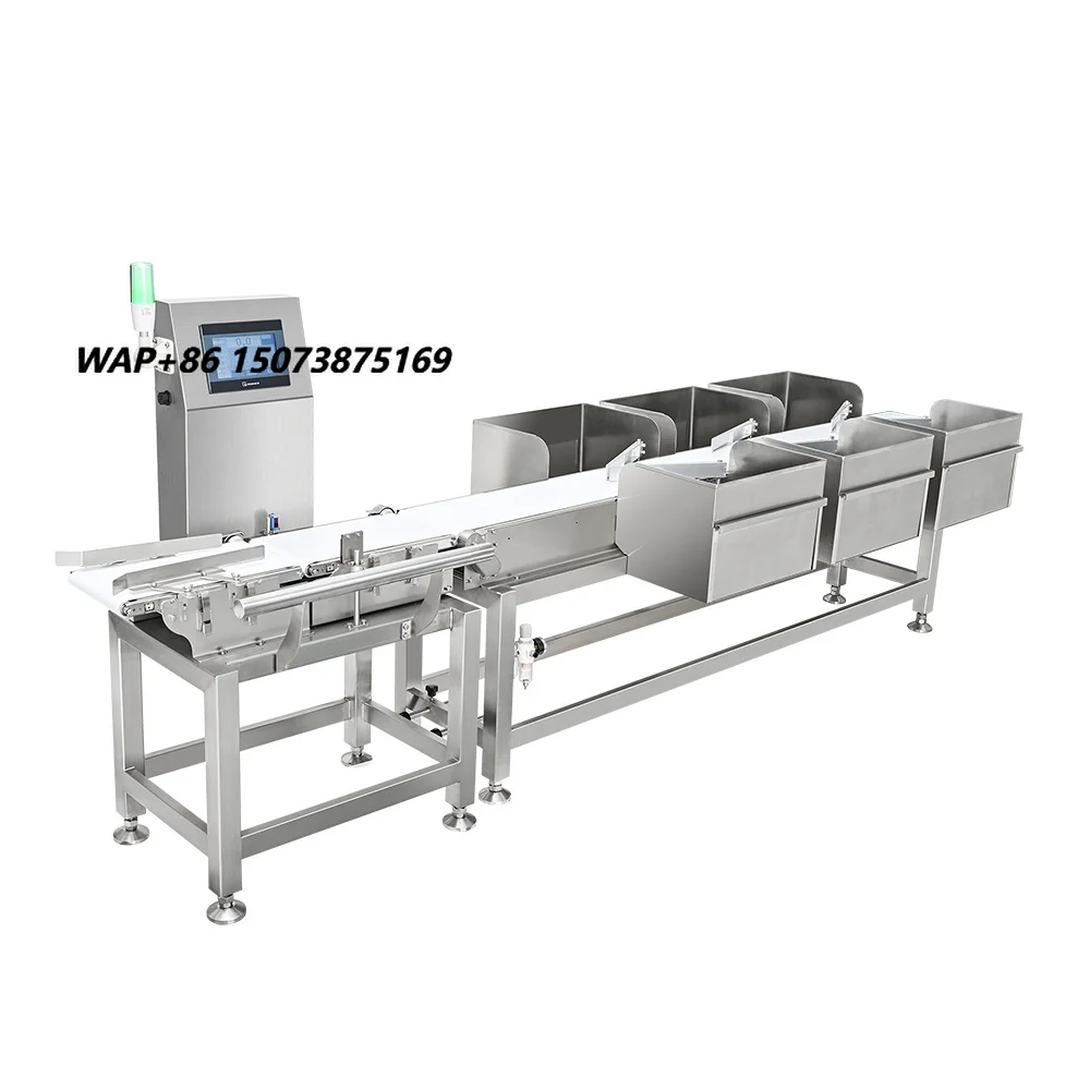 Conveyor Belt Scale Weighing Sorting Machine Weight Grading for Food Industry Fruit Orange