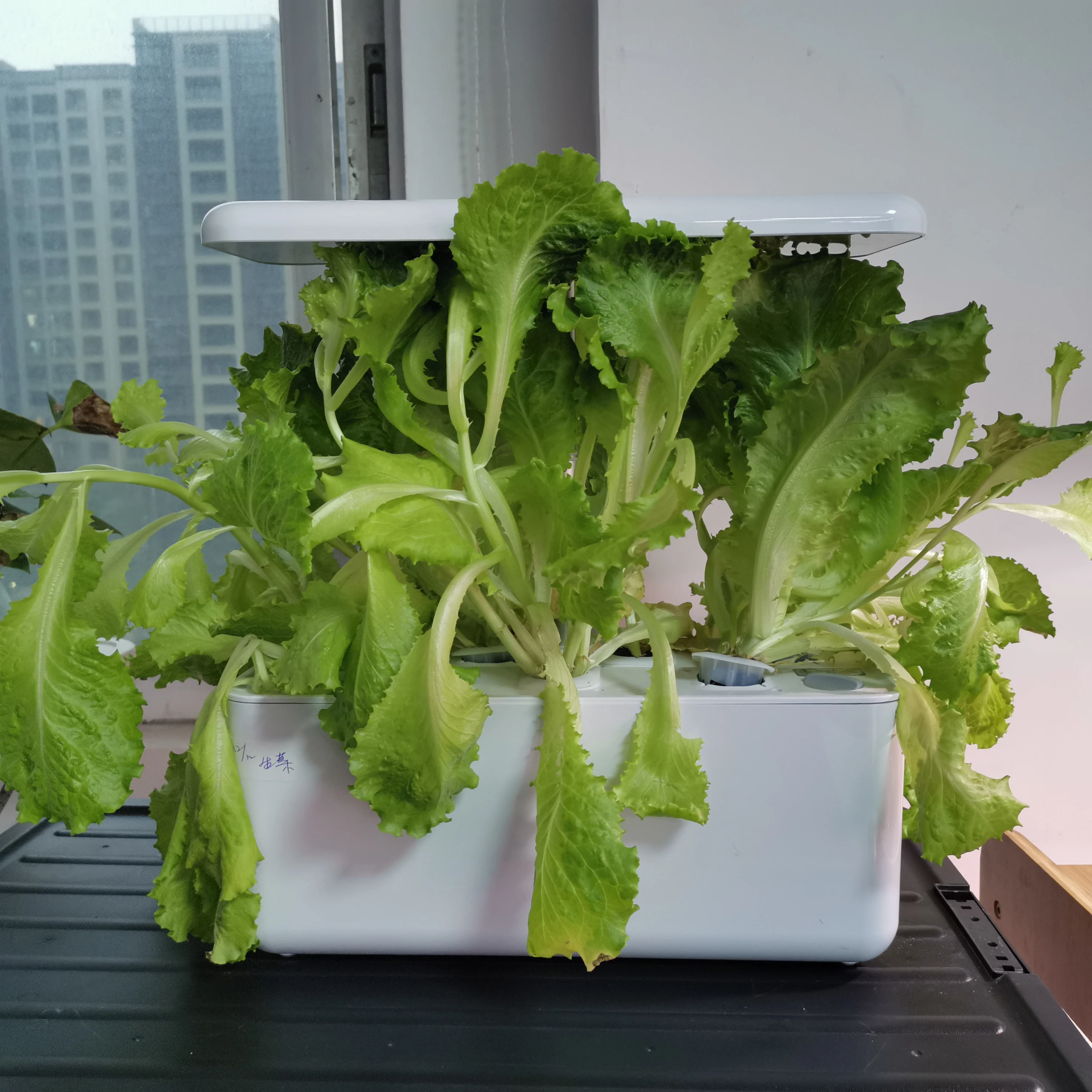 Customized Smart Electronic Indoor Hydroponic Garden Systems Kitchen Hydroponics System for Home Growing Systems