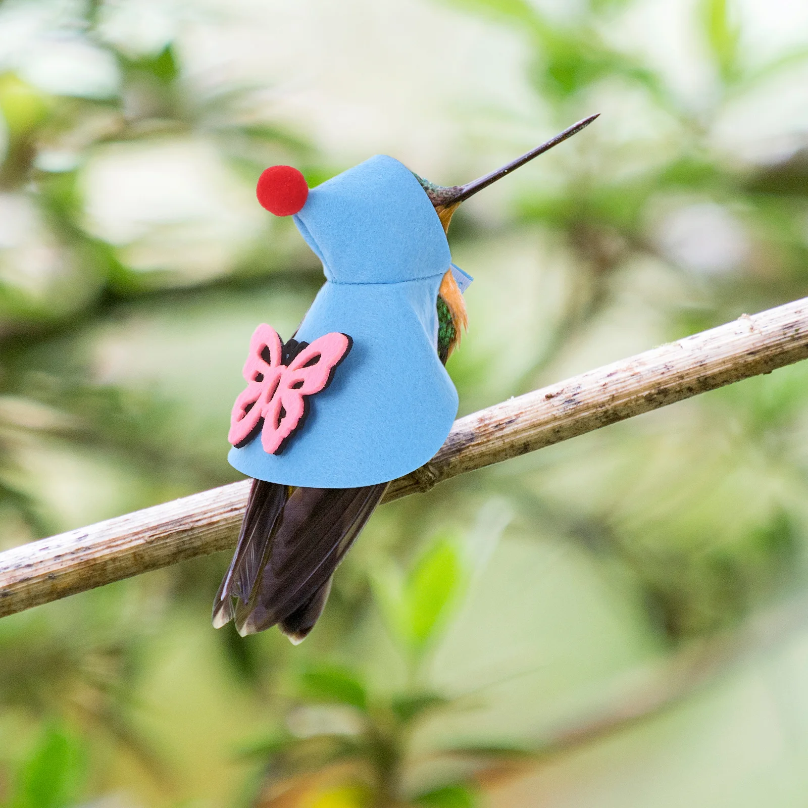 

2Pcs Parrot Winter Cape Felt Warm Cloak Holiday Bird Costume Small Cockatiel Budgie Outfit Parrot Cape Cockatiel Clothes