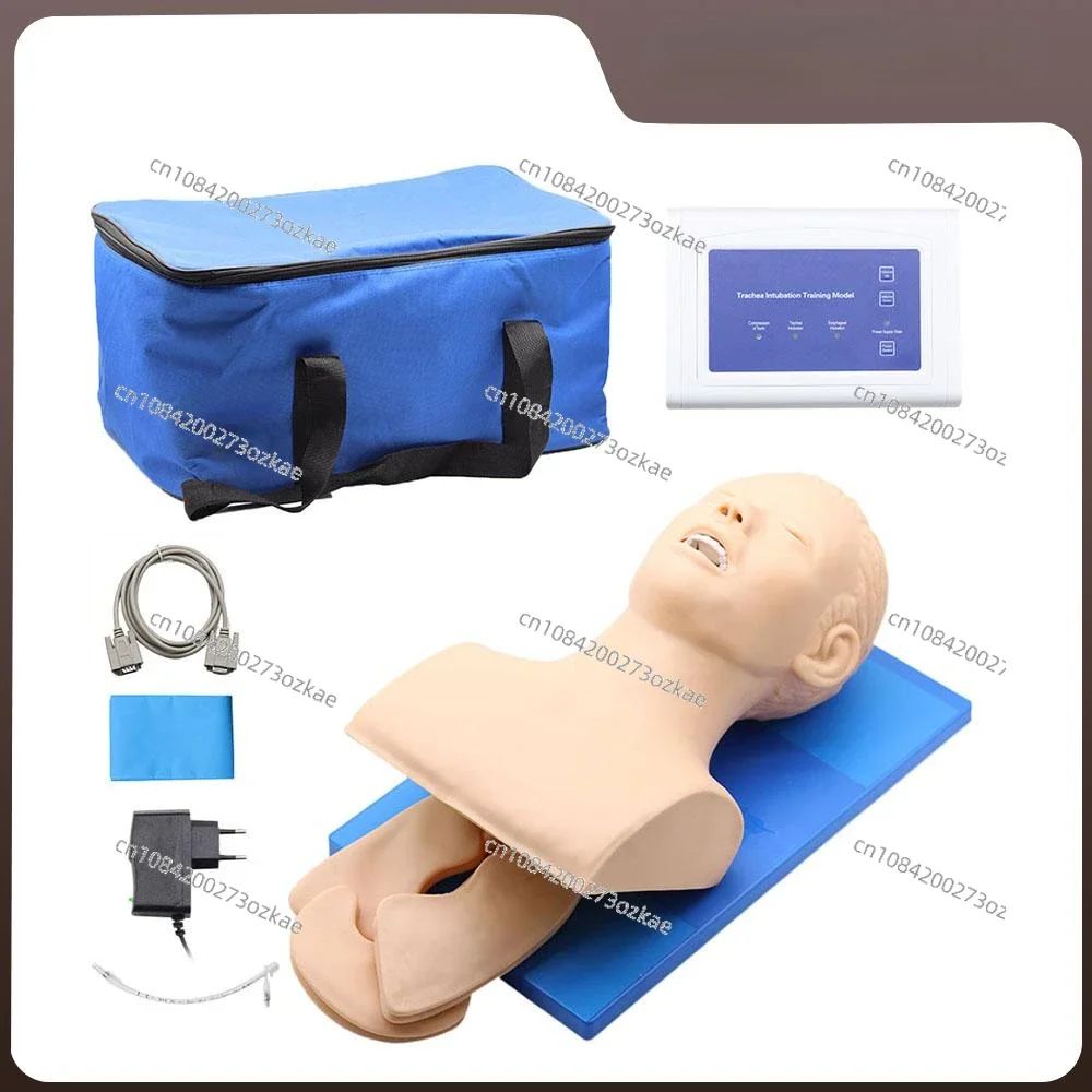 Intubation Manikin Study Teaching Model Airway Management Trainer PVC with Teeth