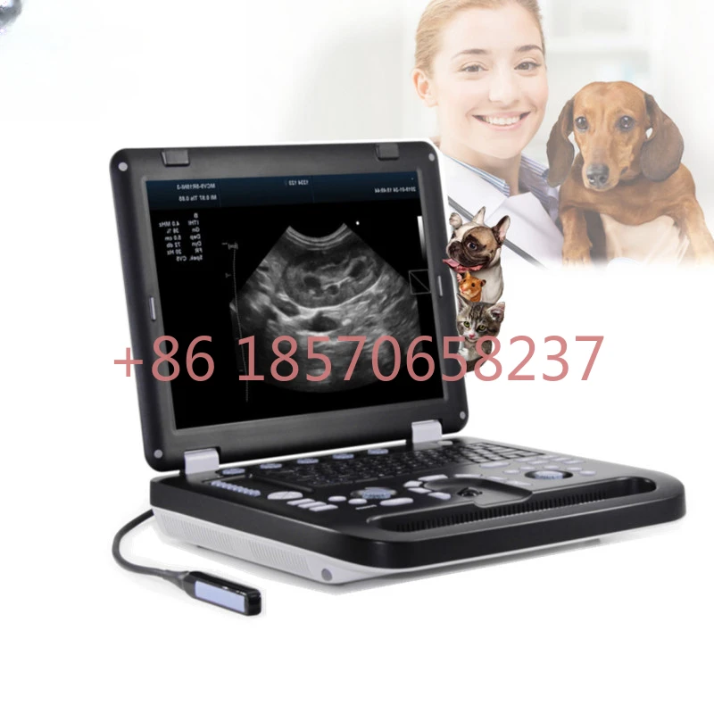 VET animal Abdominal ultrasonography scanner veterinary color doppler machine