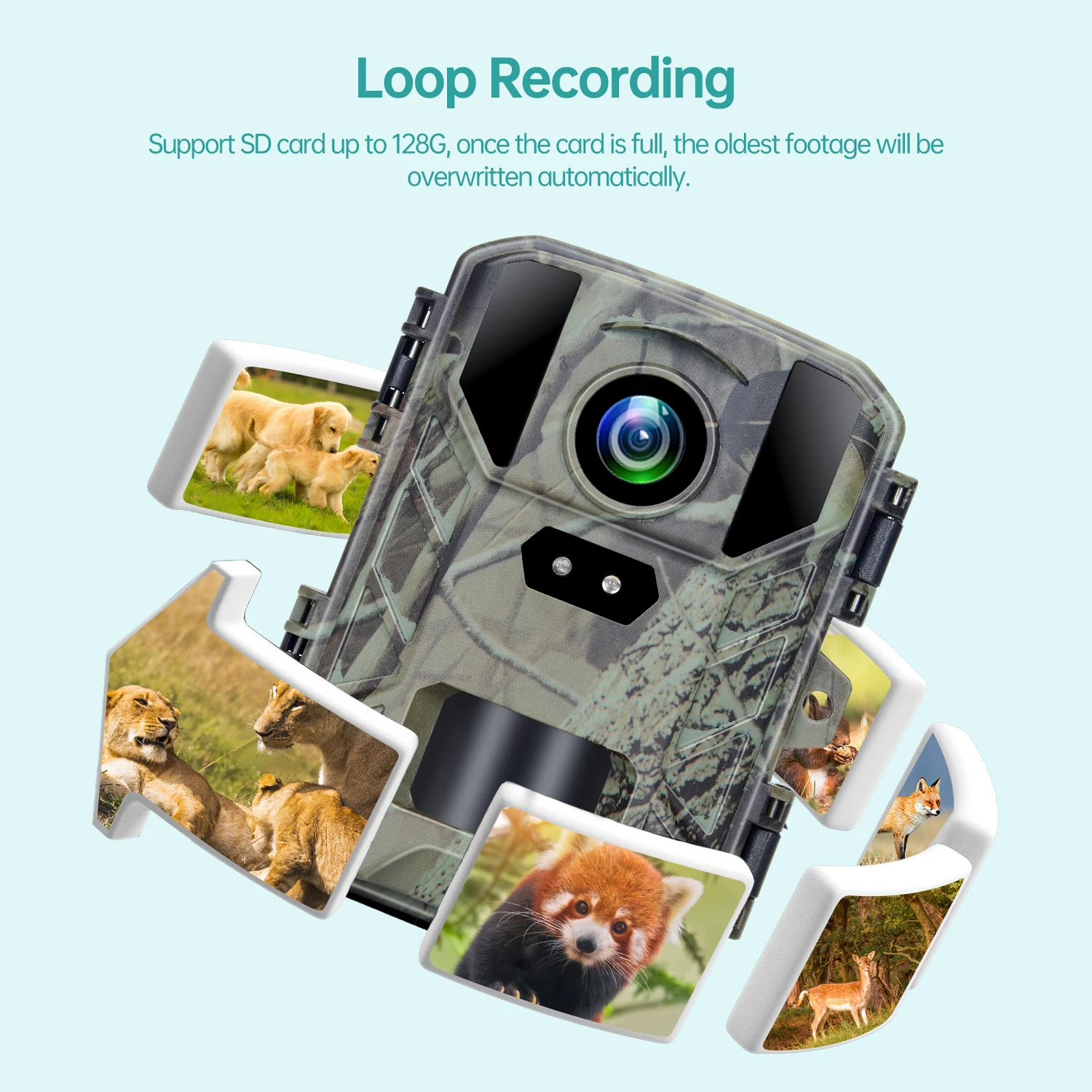 4K MiNi800 Mini Wildlife Hunting Camera 50MP Keep Way Trail Camera Waterproof HD Night Vision Infrared Photo Trap with 256GB Car