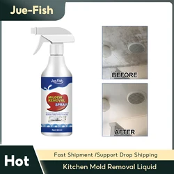 Mold Cleaner Kitchen Wall Furniture Mildew Prevention Toilet Tile Joints Cleaning Decontaminating Household Mold Remover Spray