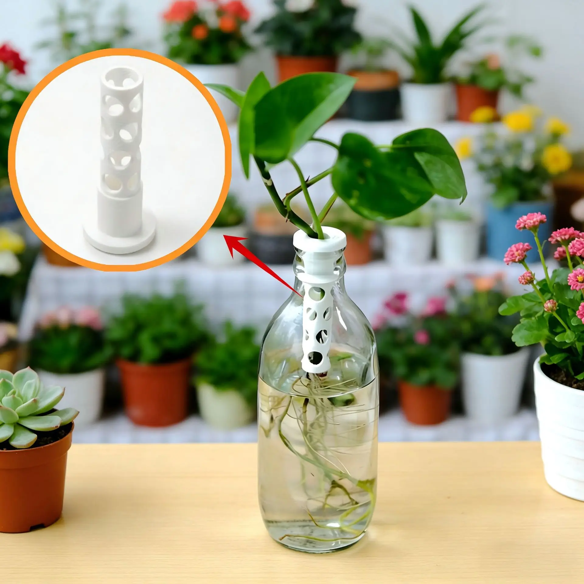 

Simple Hydroponic Plant Stand Suitable for Beverage Glass Bottle Home Desktop Decoration