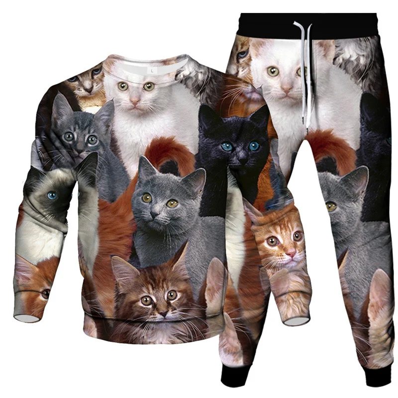 Autumn Animal Cat 3D Print Men\'s Sportswear Set FashionLong-Sleeved T Shirt Pants 2-Piece Set Oversized Pullover Men Clothing