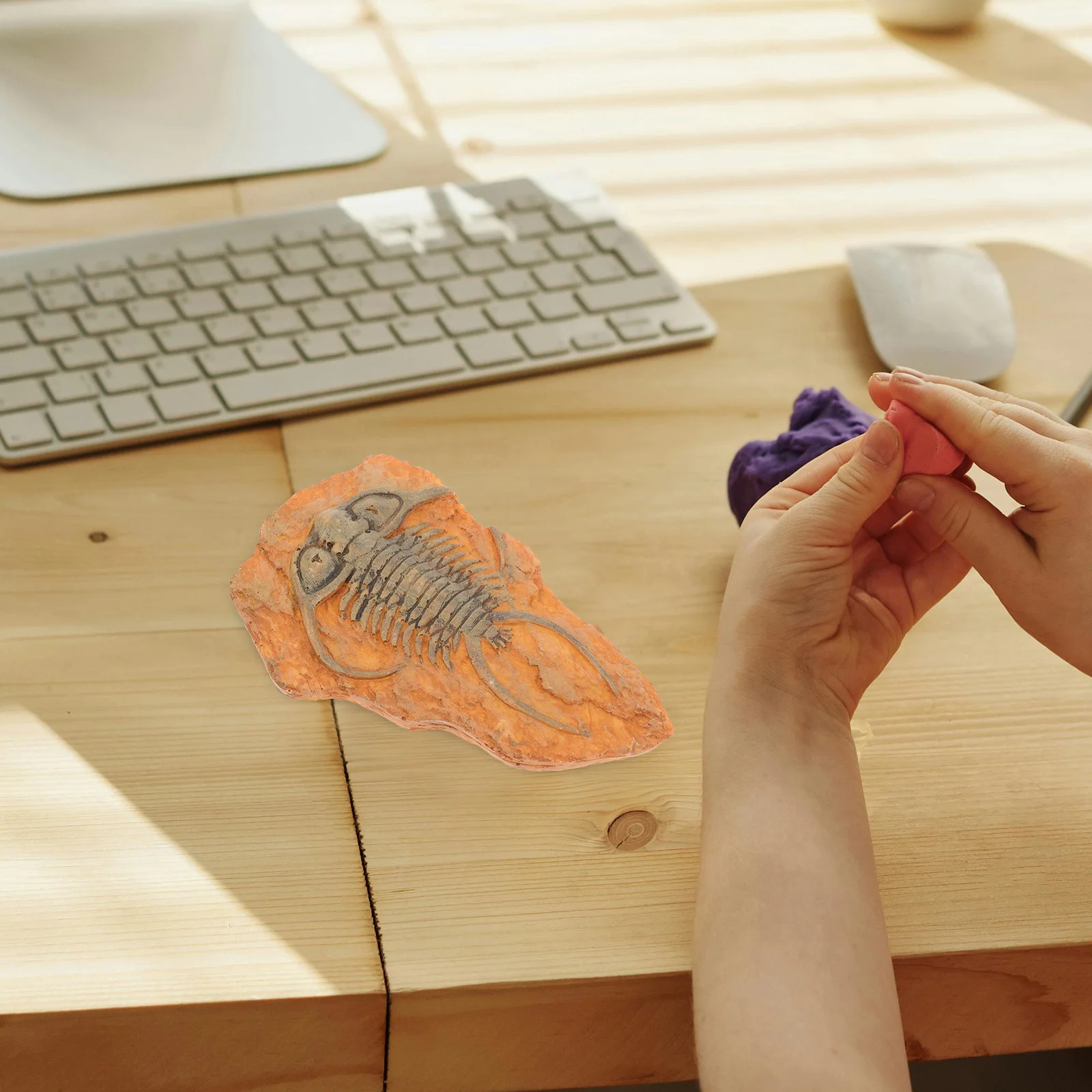 

Decoration Insect Specimen Ornament for Science Teaching Resin Paleontology