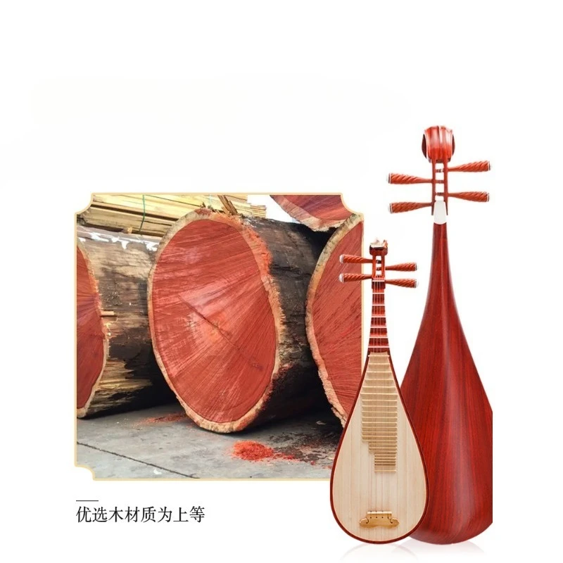 Pipa Musical Instrument Rosewood Beginner's Introduction Chicken Wing Wood Pipa