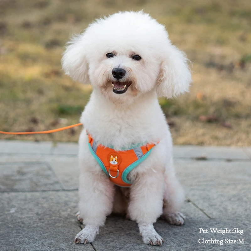 Pet Suede Chest Harness Vest Dog Strap Reflective Leash Retractable For Small Light And Convenientn image 3
