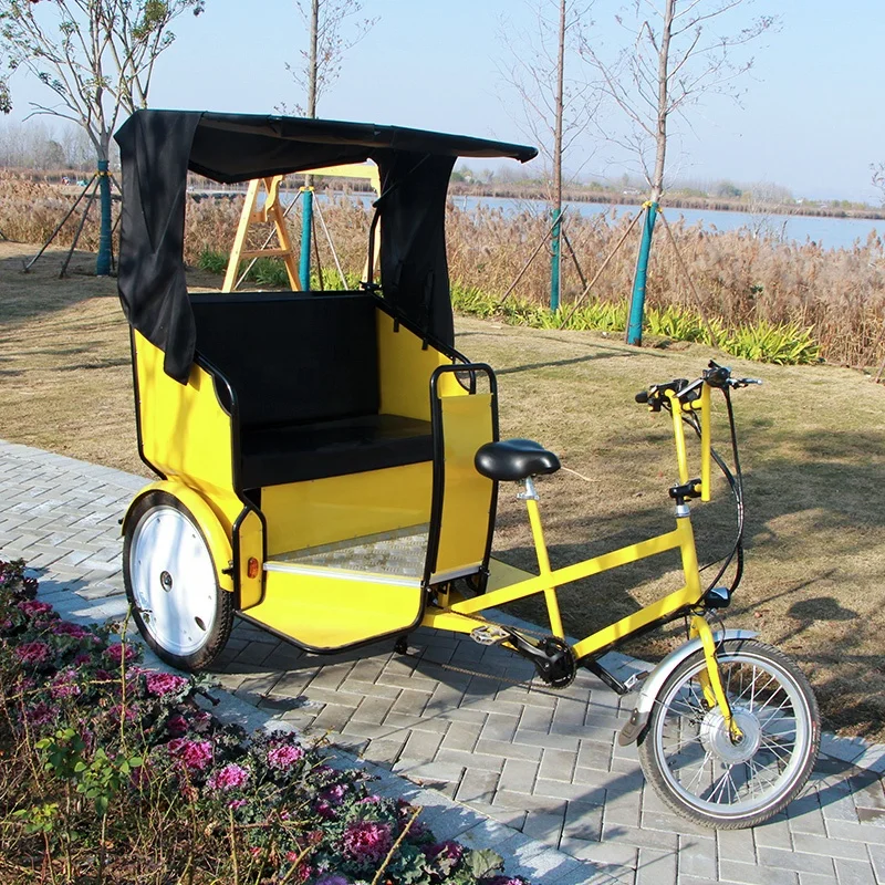 Electric Rickshaw Scenic Taxi