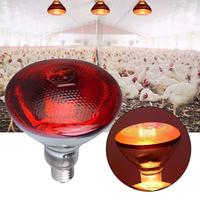 100w 150w 175w 200w 250w 275w Pet Red Heating Lamp  For Chickens Coop Brooder And Reptile Heat Bulb Infrared Red Light