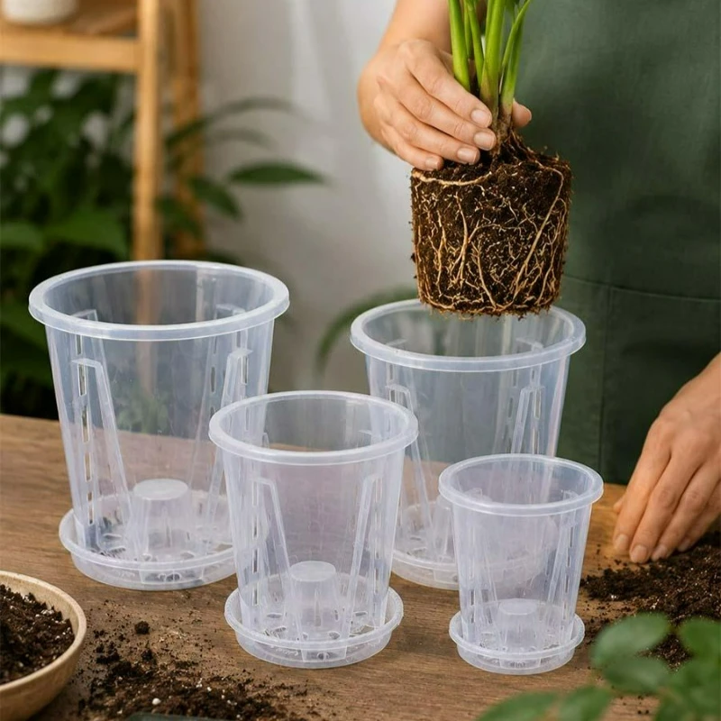 Transparent Flower Pot with Tr - Plant Parent 评论和价格