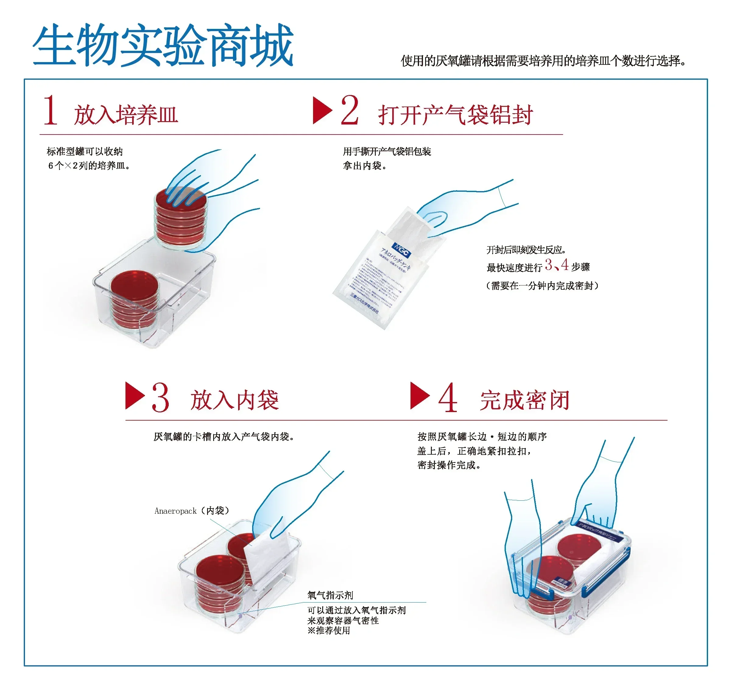 Contenitore per coltura anaerobica con scatola anaerobica sigillata da 2,5 litri