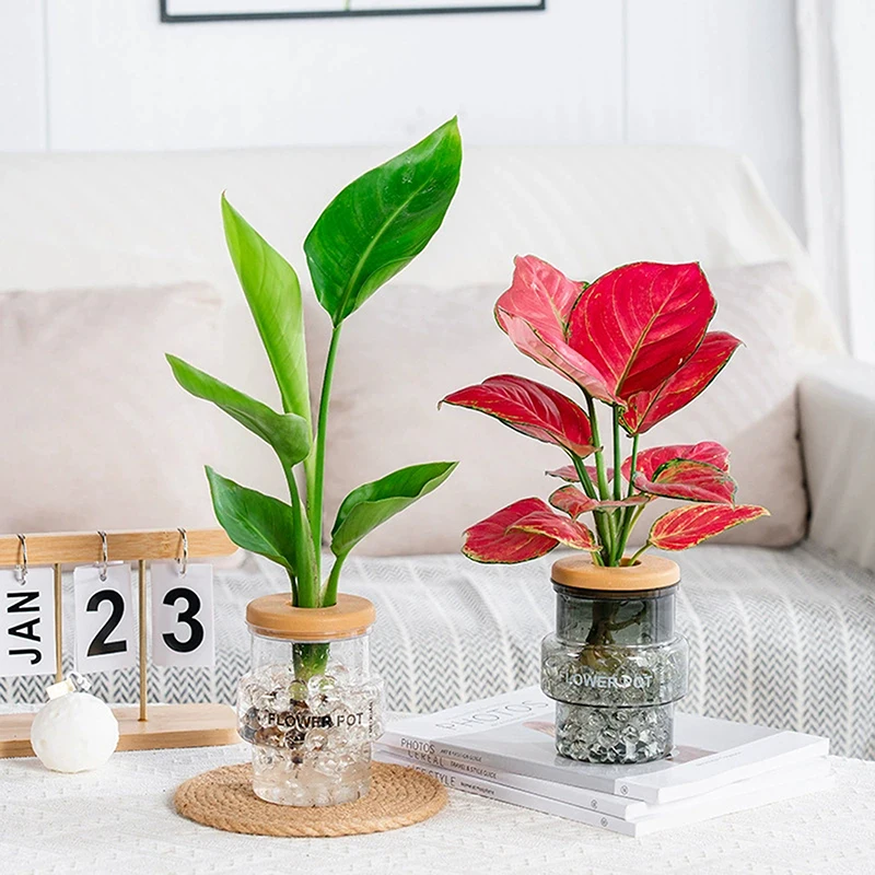 Pot de fleur transparent gris clair, Pot de plante verte de bureau, Pot de maison