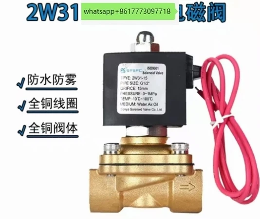 

2W31-15 2W31-20 AC220V