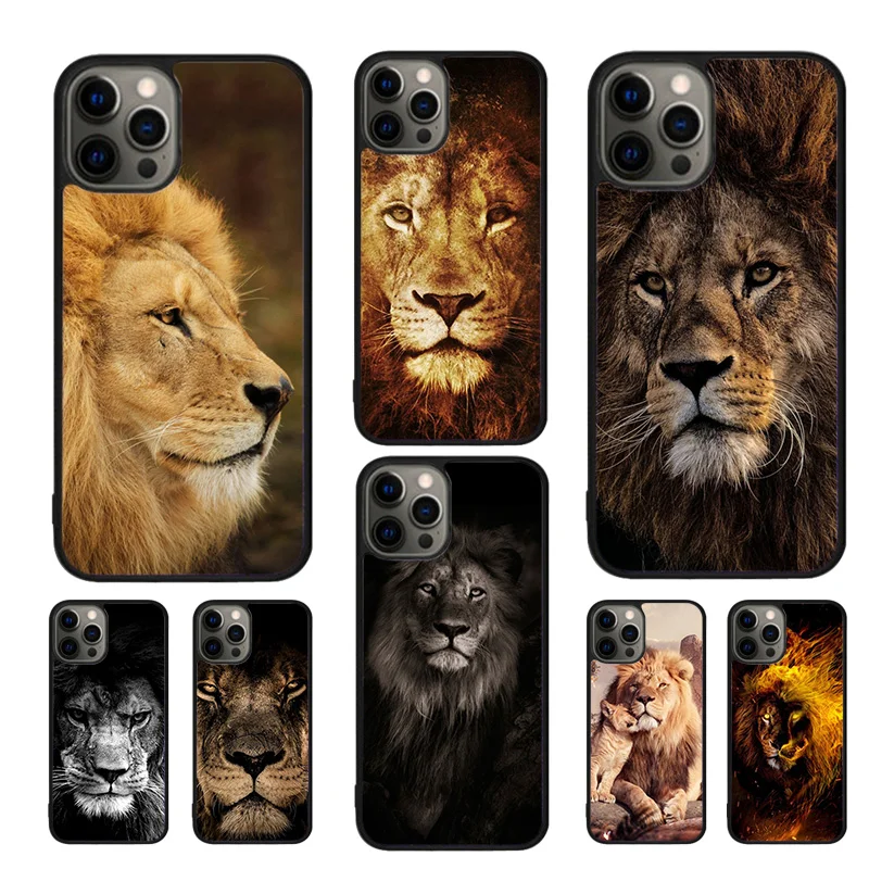 Lion Alpha Male Cub…