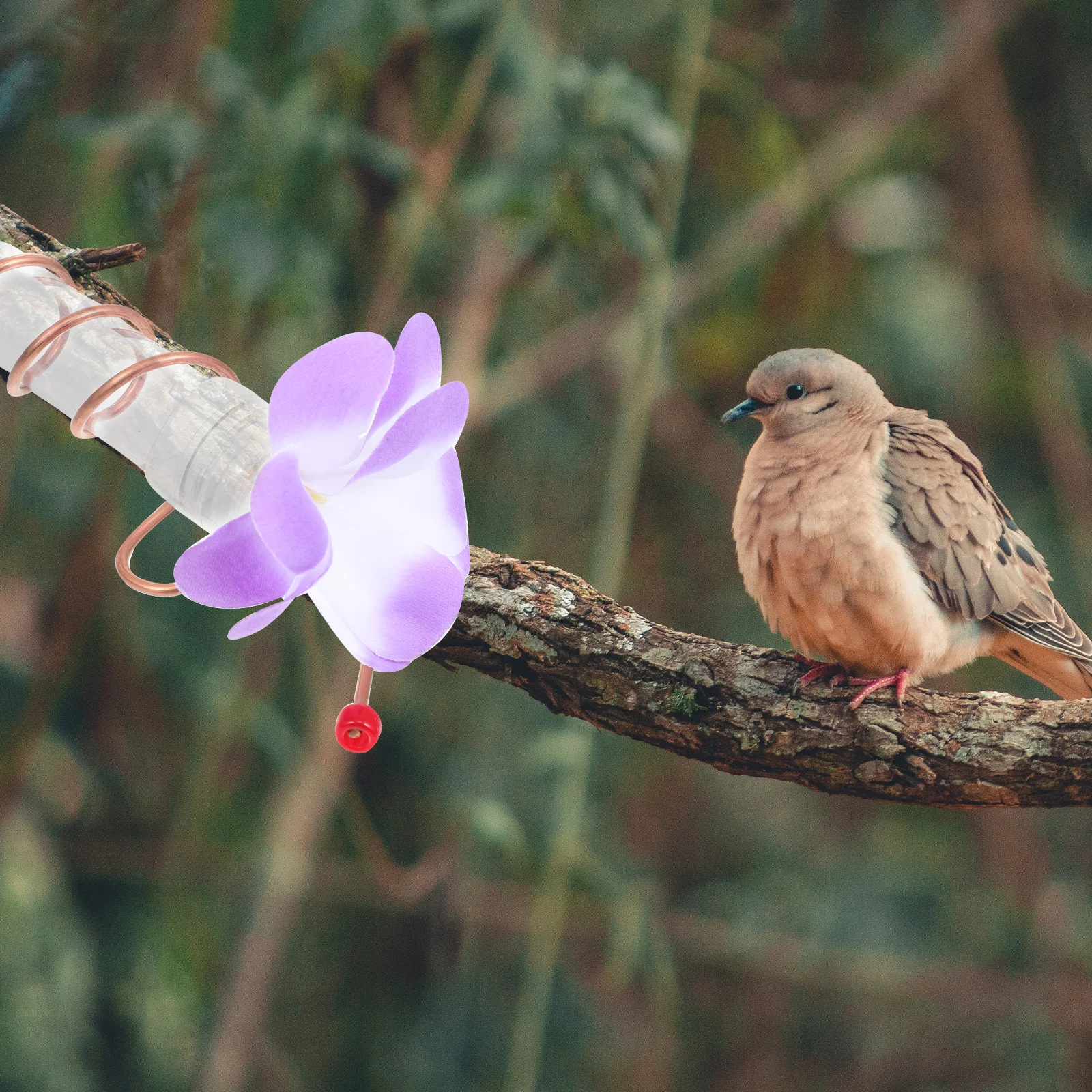 

Flowers Design Hummingbird Feeder Durable High Grade Material Suction Cup Easy Installation Outdoor Garden Decor Bird Feeding