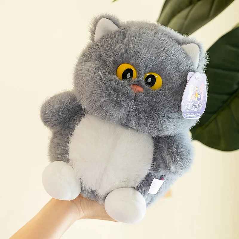24 cm dessin animé grands yeux chat en peluche poupée doux moelleux chat Animal en peluche jouet Kawaii mignon chat en peluche traversin poupée enfant cadeau d'anniversaire