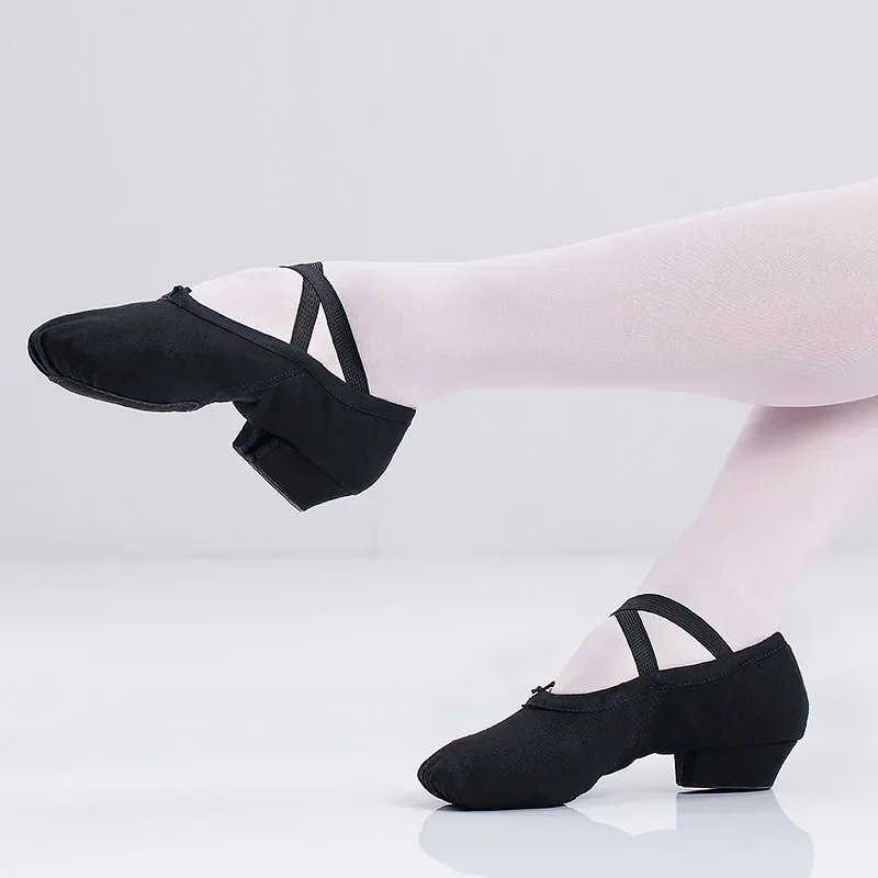 أحذية رقص باليه احترافية للنساء والفتيات بكعب منخفض أحذية رقص قماشية للمعلم لفصل الرقص