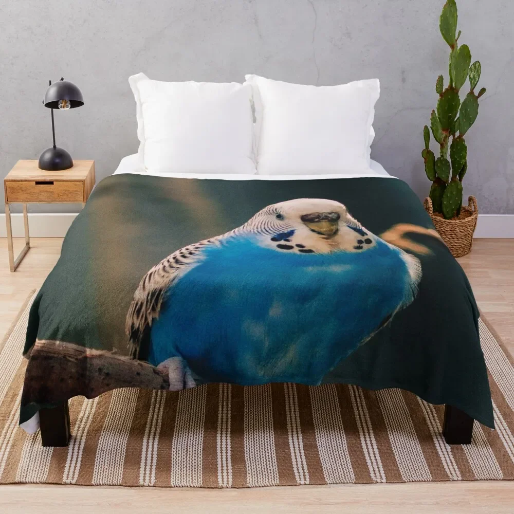 

Blue Budgie Photo Throw Blanket Modern Design Soft Blanket for Home Decor