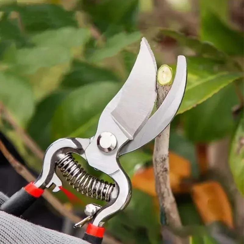 Huishoudelijke Tuin Fruitboom Schaar Bloem Boom Snoeischaar Multifunctionele Enten Gereedschap Vogelsnavel Arbeidsbesparende Trimmer