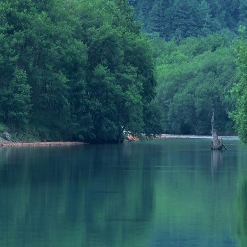 

4PCS T-MOTOR C7.5x4.6 Professional Cinematic FPV Propeller for Cinematic FPV Drone