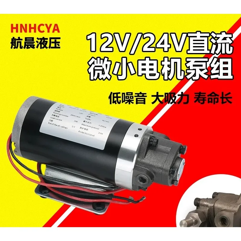 Small DC special motor oil DC12V/24V 12A13A gear  electric cycloid pump triangular pump
