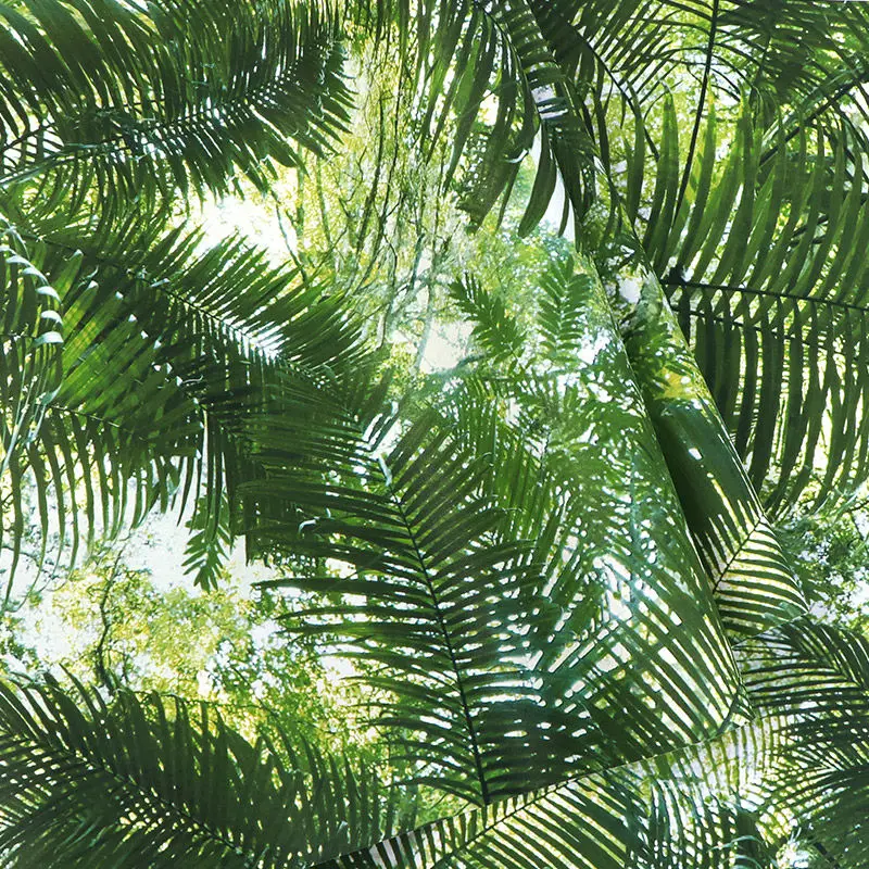 Green Plant Background Wallpaper 3D Bedroom Tropical Forest Palm Leaves Wallpapers Roll Resturant