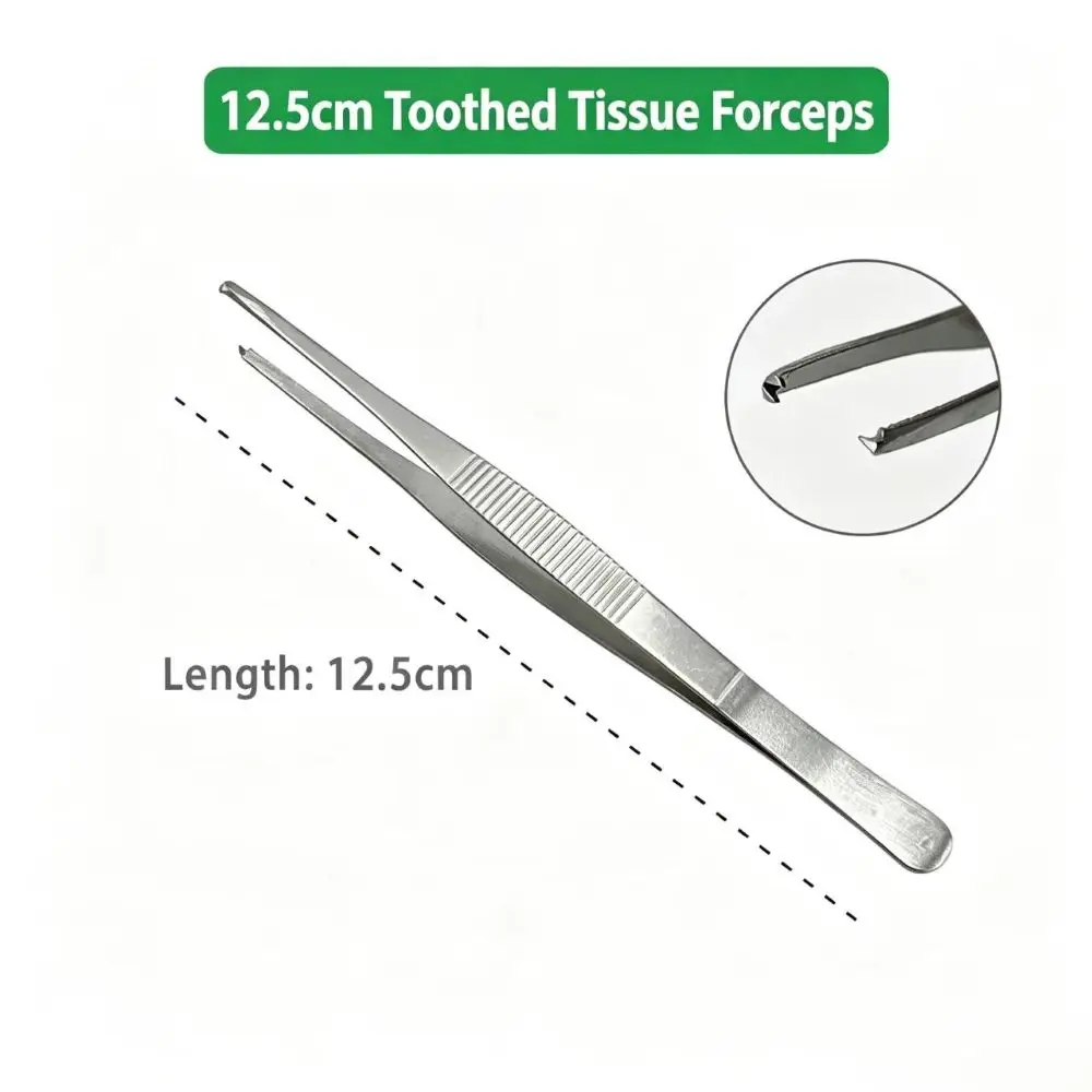 Pince à tissus dentée en acier inoxydable de 14 cm avec embout à cliquet, pour pansements, préhension sécurisée, usage chirurgical, médical, cosmétique et de laboratoire