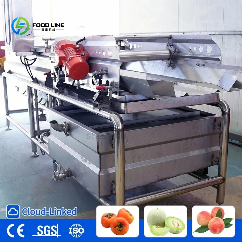 Customized Large Capacity Vortex Salad Washer for Central Kitchens with Water Saving Design