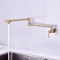 Brushed Gold Pot Filler Tap Wall Mounted Foldable Kitchen Faucet Single Cold Nickel Sink Tap Rotate Folding Spout Black SUS304