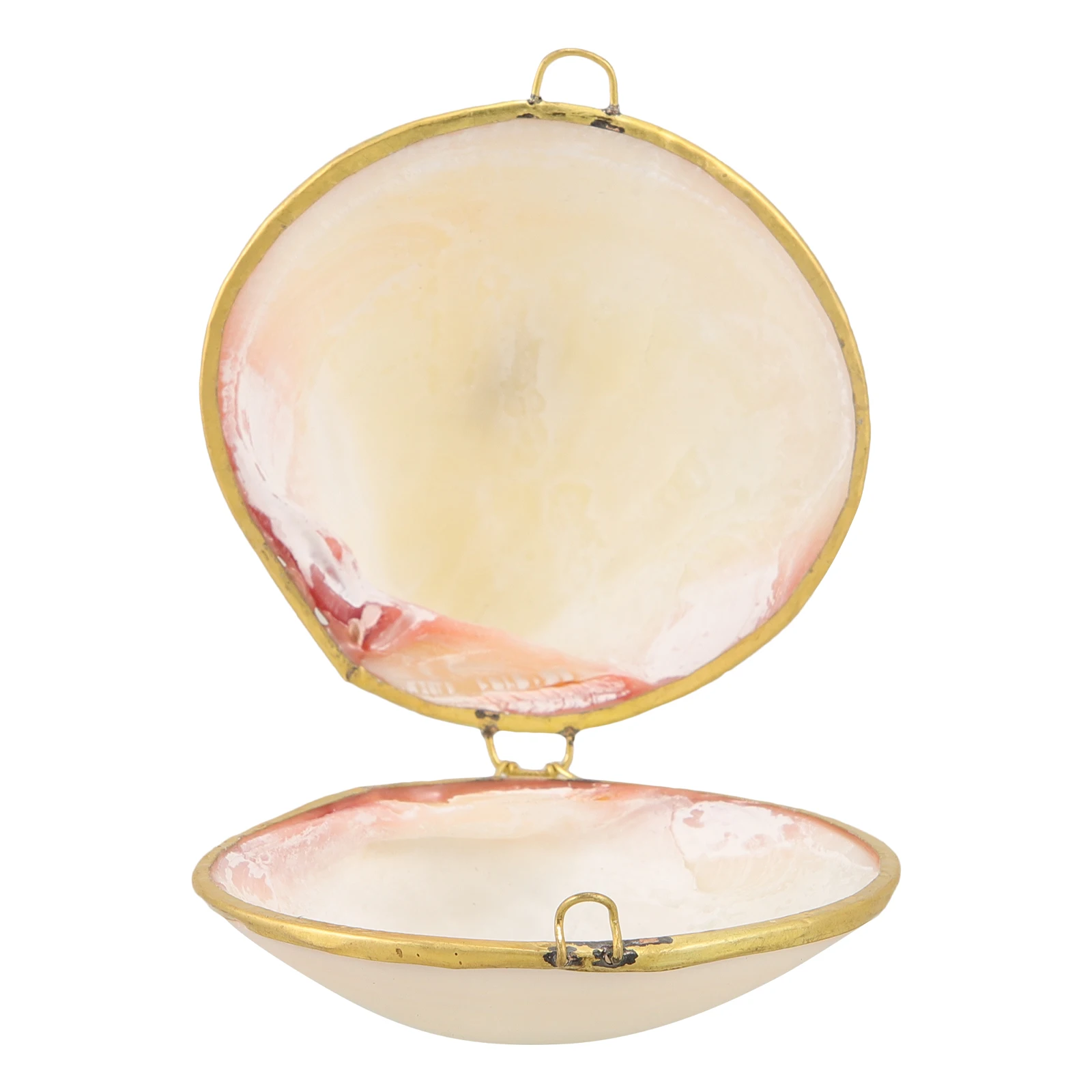 

Elegant Shell Shaped Jewelry Storage Box Organizer Case For Rings Necklaces Earrings Trinkets Small Candy Sundries Desktop